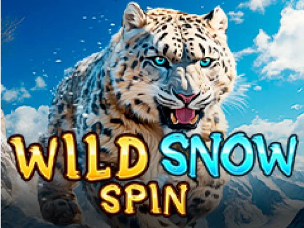 Wild Snow Spin